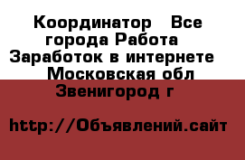 ONLINE Координатор - Все города Работа » Заработок в интернете   . Московская обл.,Звенигород г.